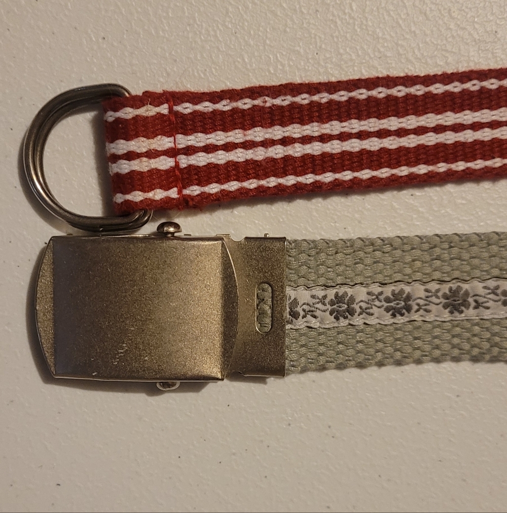 Red & White Striped Belt with Metal Slip Buckle And Gray Retro Floral Belt